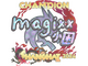Sticker | magixx (Holo, Champion) | Shanghai 2024