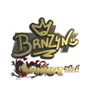 brnz4n (Gold) | Shanghai 2024