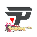 paiN Gaming | Shanghai 2024