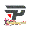 Sticker | paiN Gaming (Glitter) | Shanghai 2024