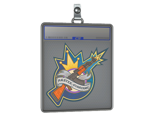 Sticker Slab | Master Guardian