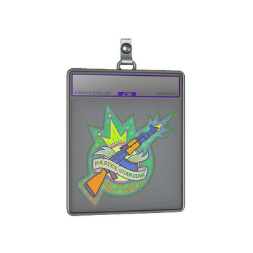 Sticker Slab | Master Guardian (Holo)