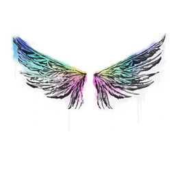 Sealed Graffiti | Wings