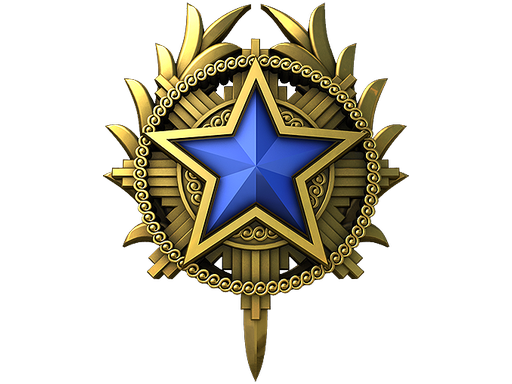 2020 Service Medal