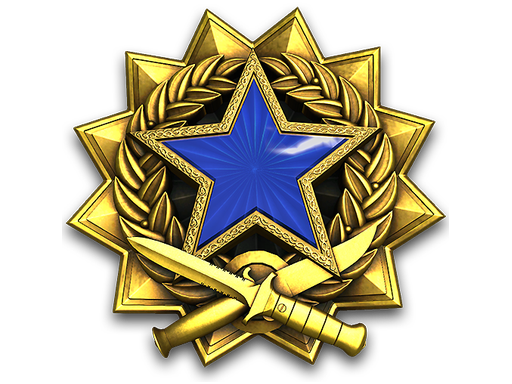 2017 Service Medal