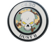 Dust II Pin