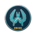 Guardian Pin