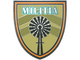 Militia Pin