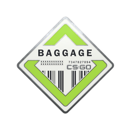 Baggage Pin
