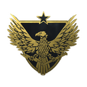 Brigadier General Pin
