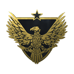 Brigadier General Pin