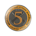 5 Year Veteran Coin