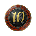 10 Year Veteran Coin