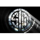 International 2023 Team Loading Screen - TSM