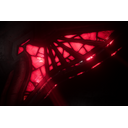 International 2023 Team Loading Screen - Talon