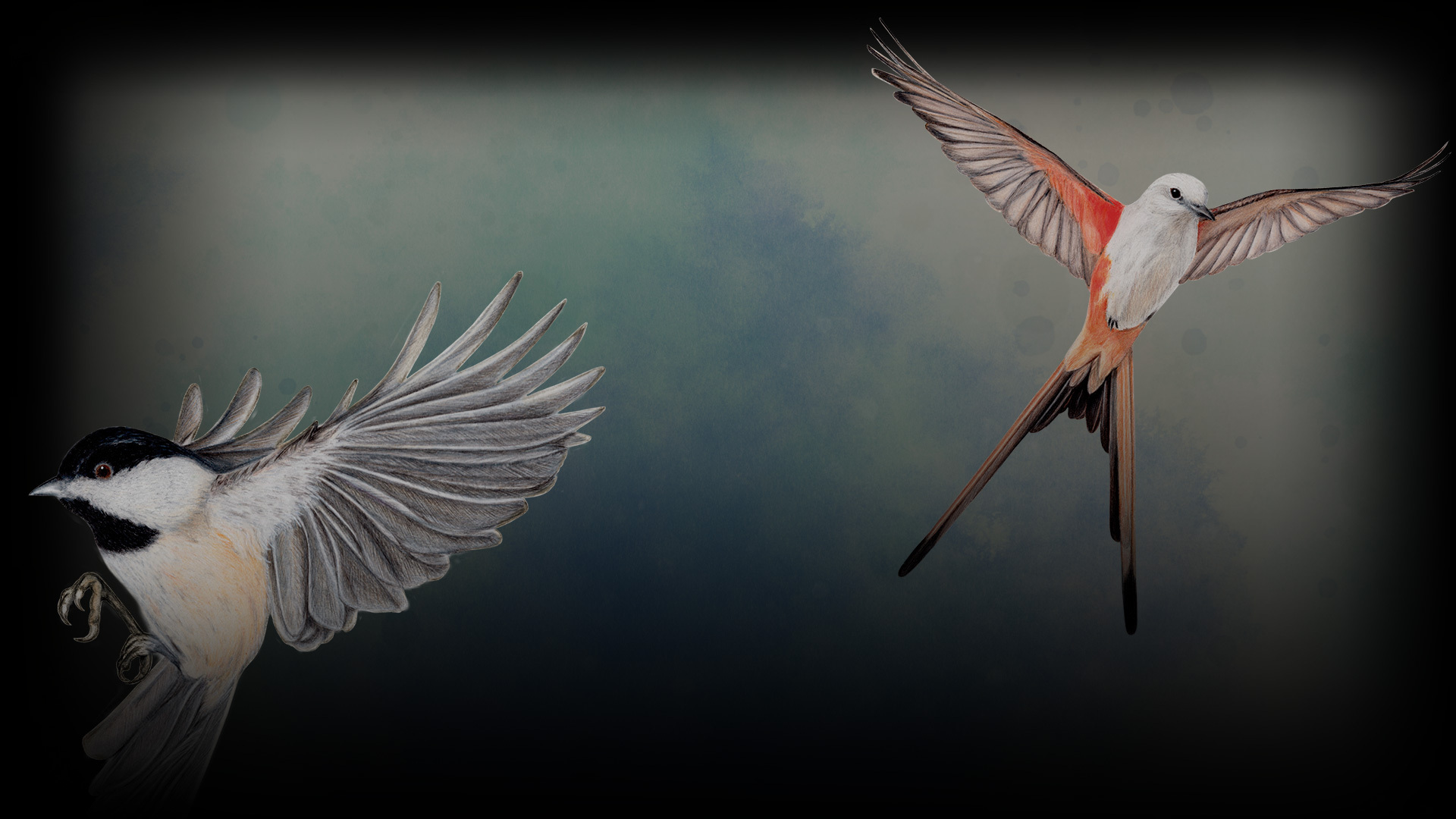 Small Birds