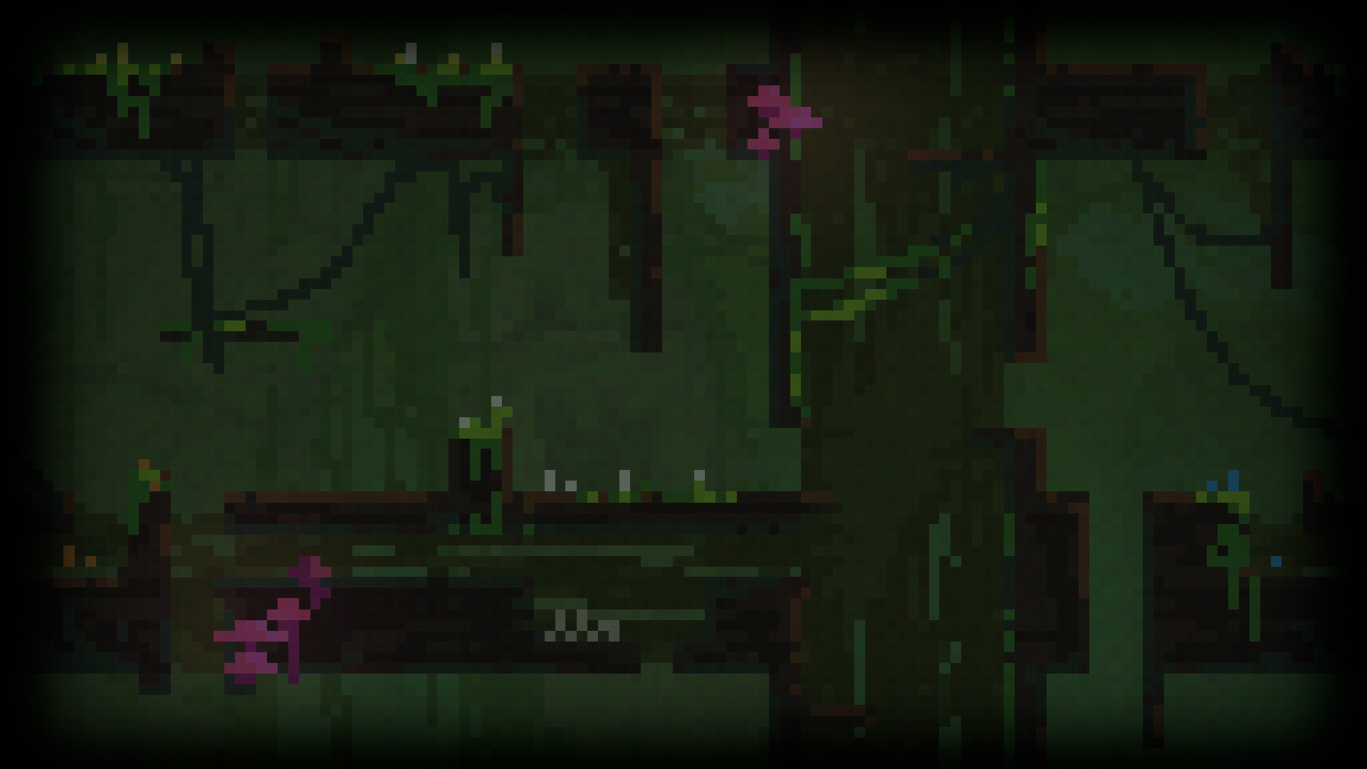 Jungle
