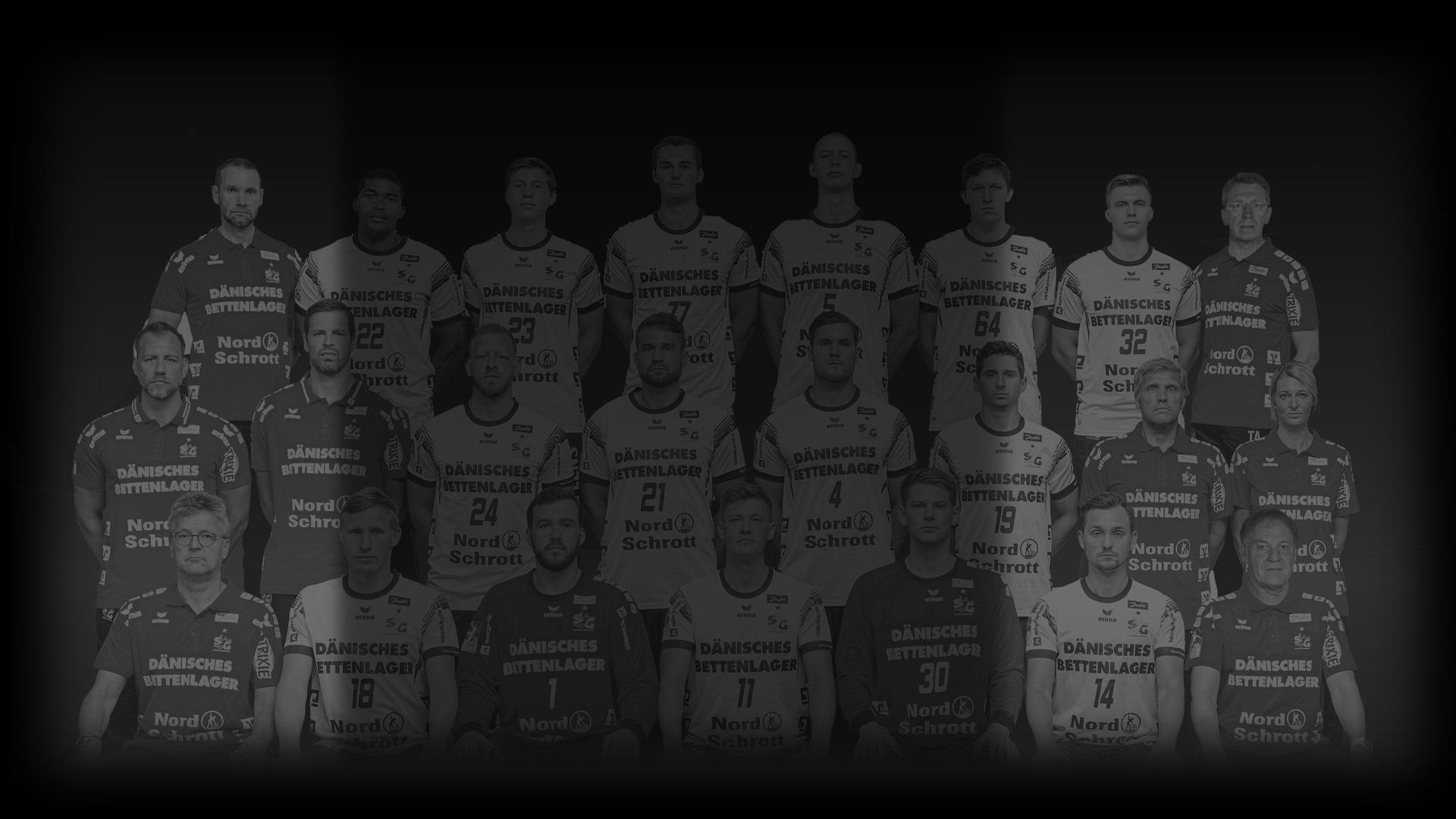 SG Flensburg-Handewitt