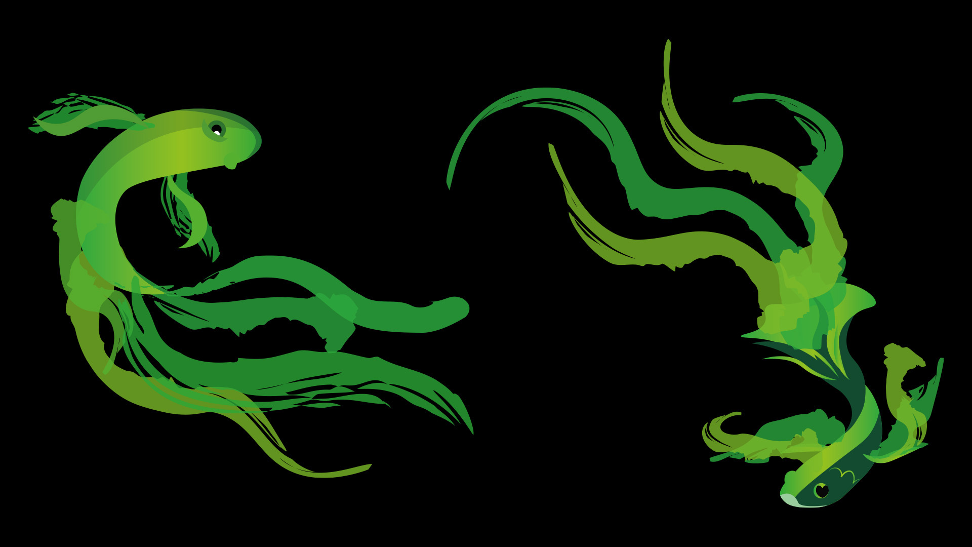 Aquarist Background