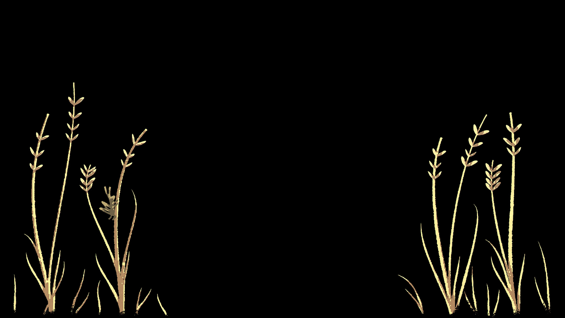 NAIAD Triticum