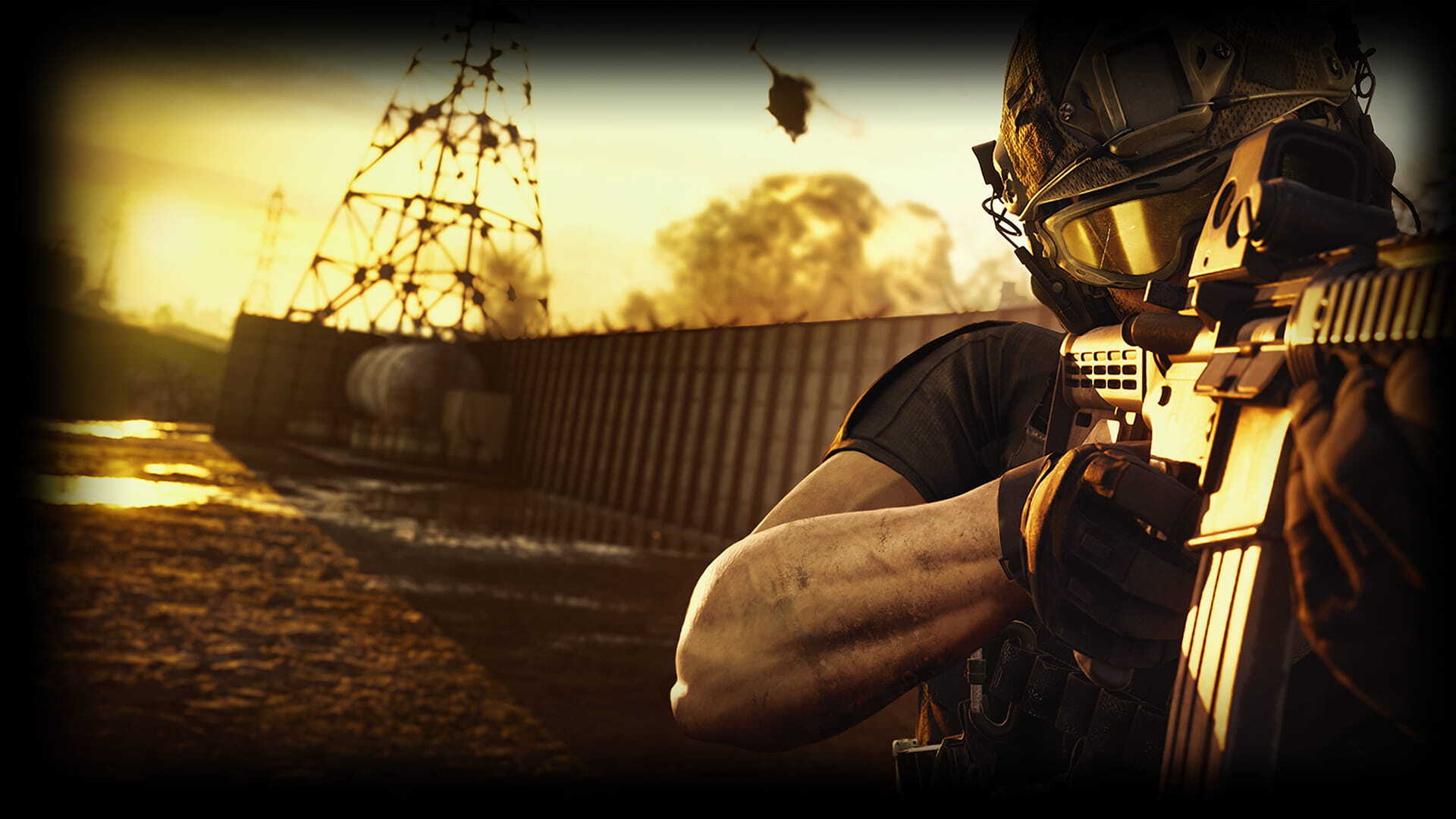 Aimed Down Sights