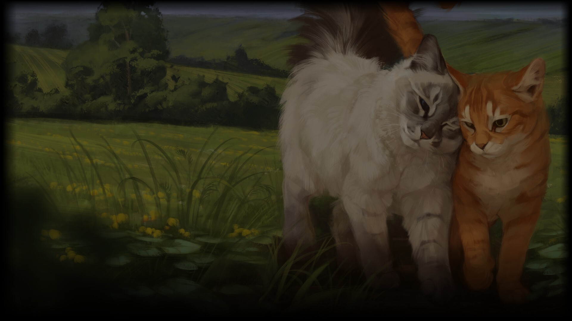 Meadow
