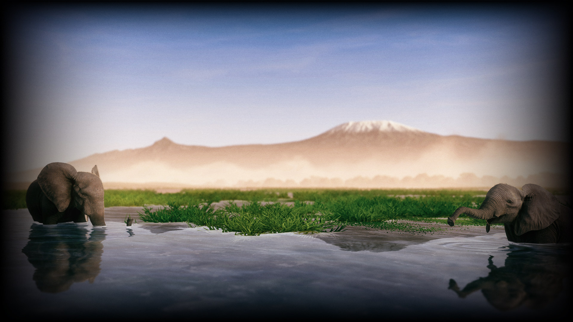 The Marsh