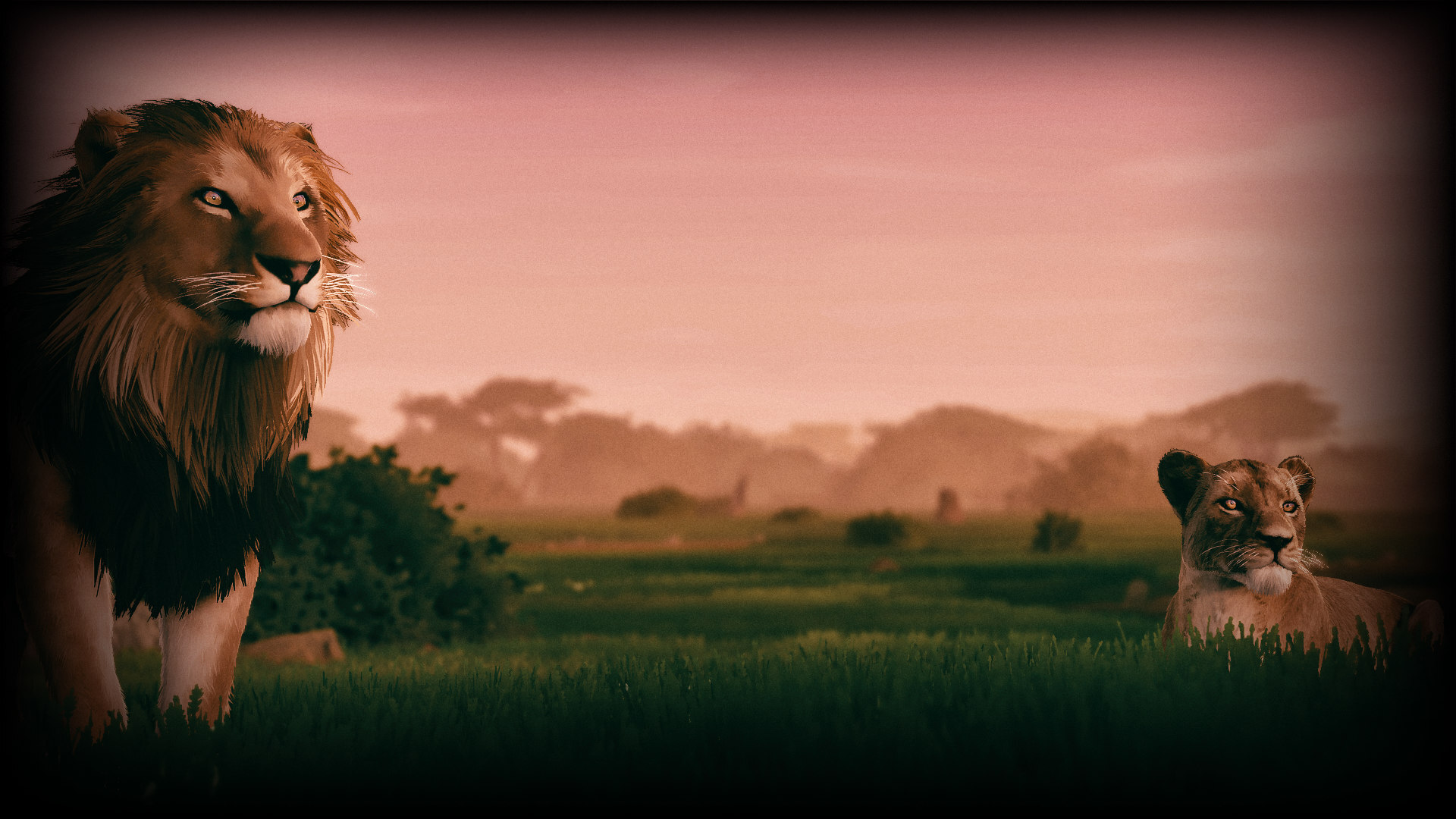 Lion