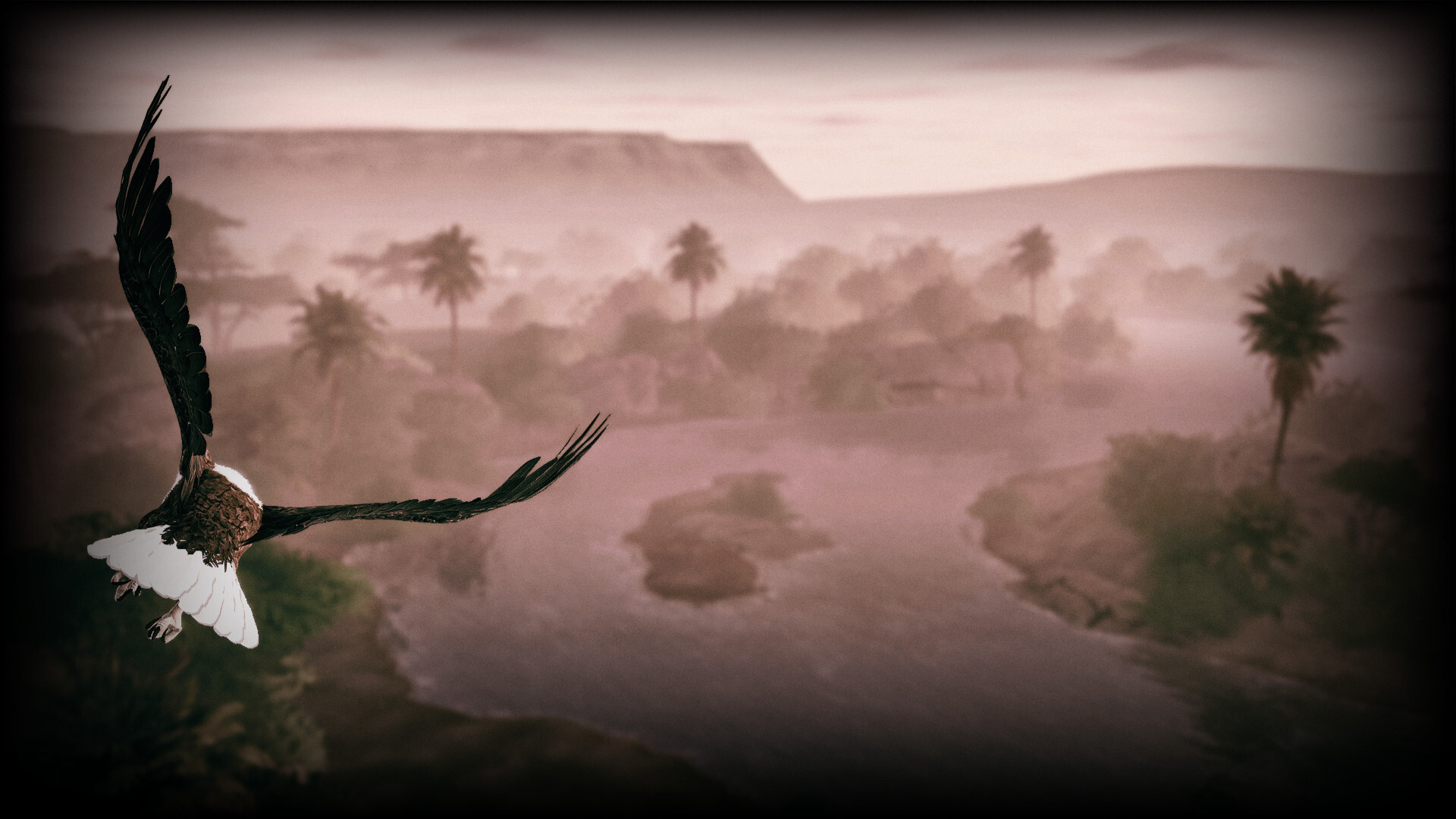 African Fish Eagle
