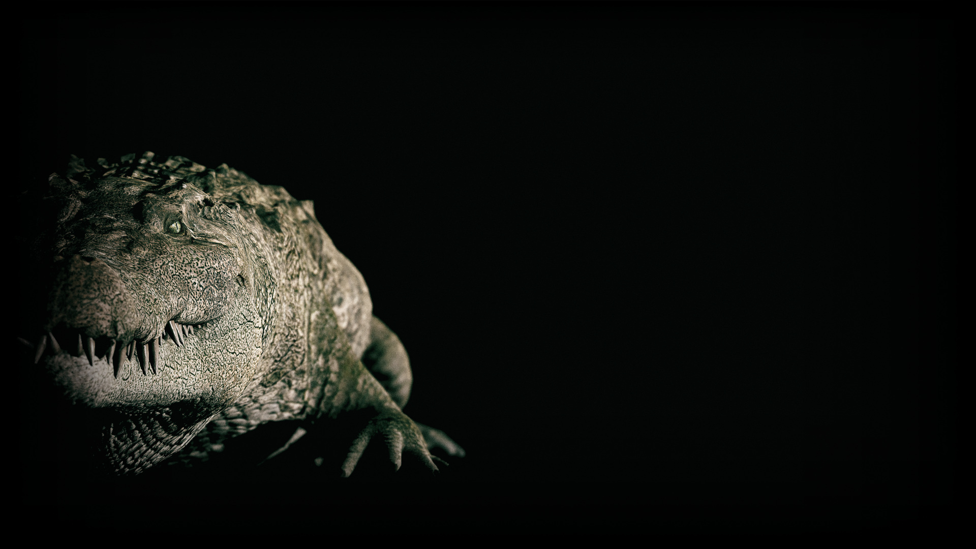 Nile Crocodile