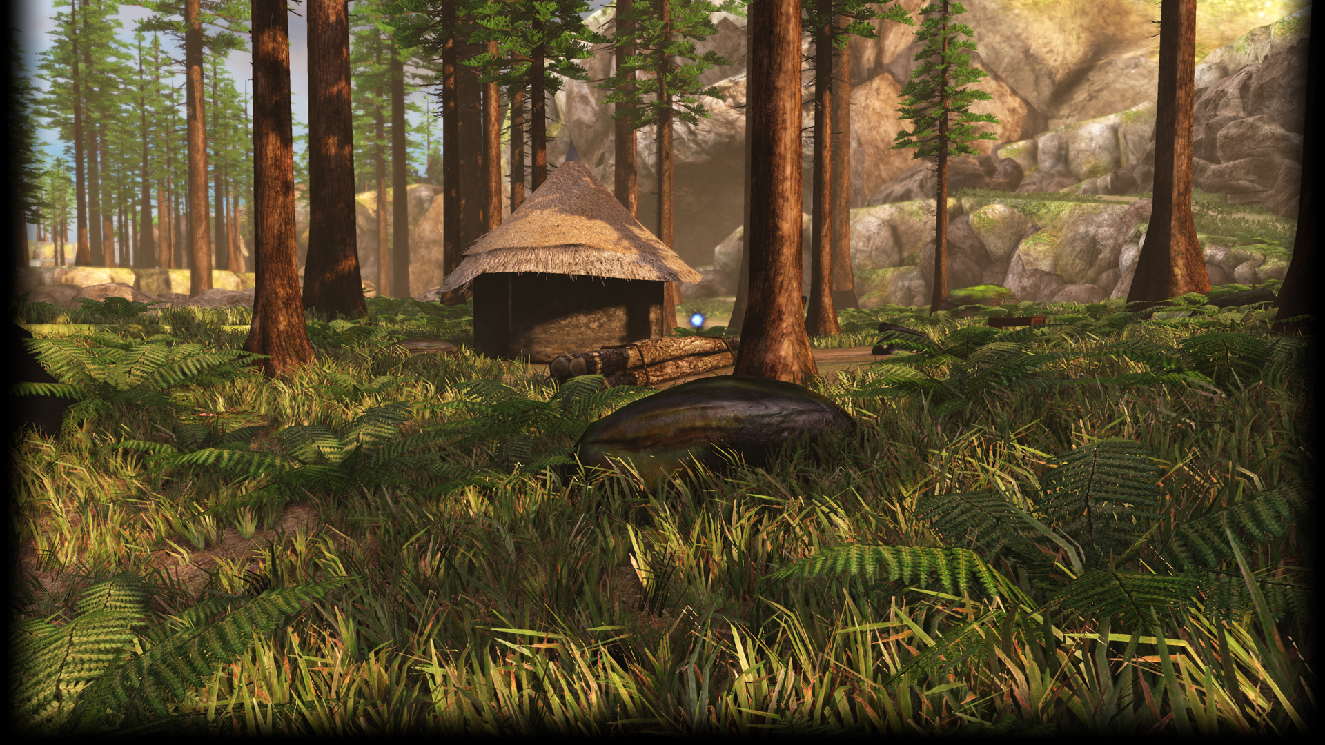 Forest (Profile Background)