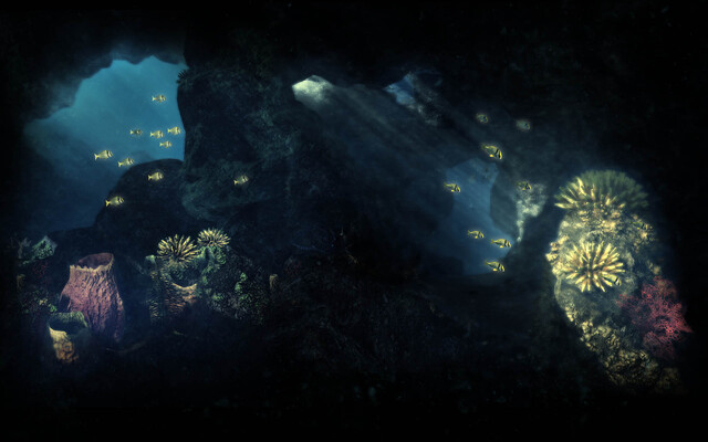 Fish and caves