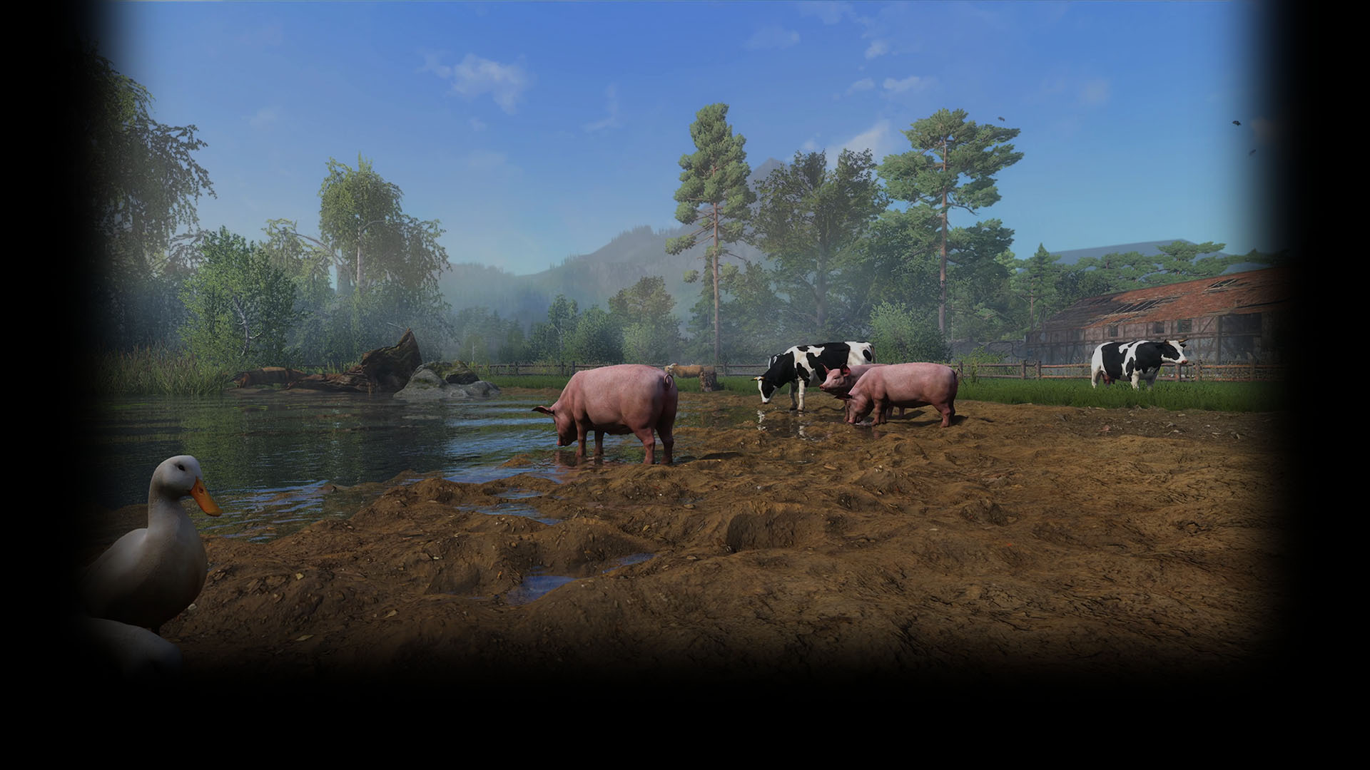 Water break