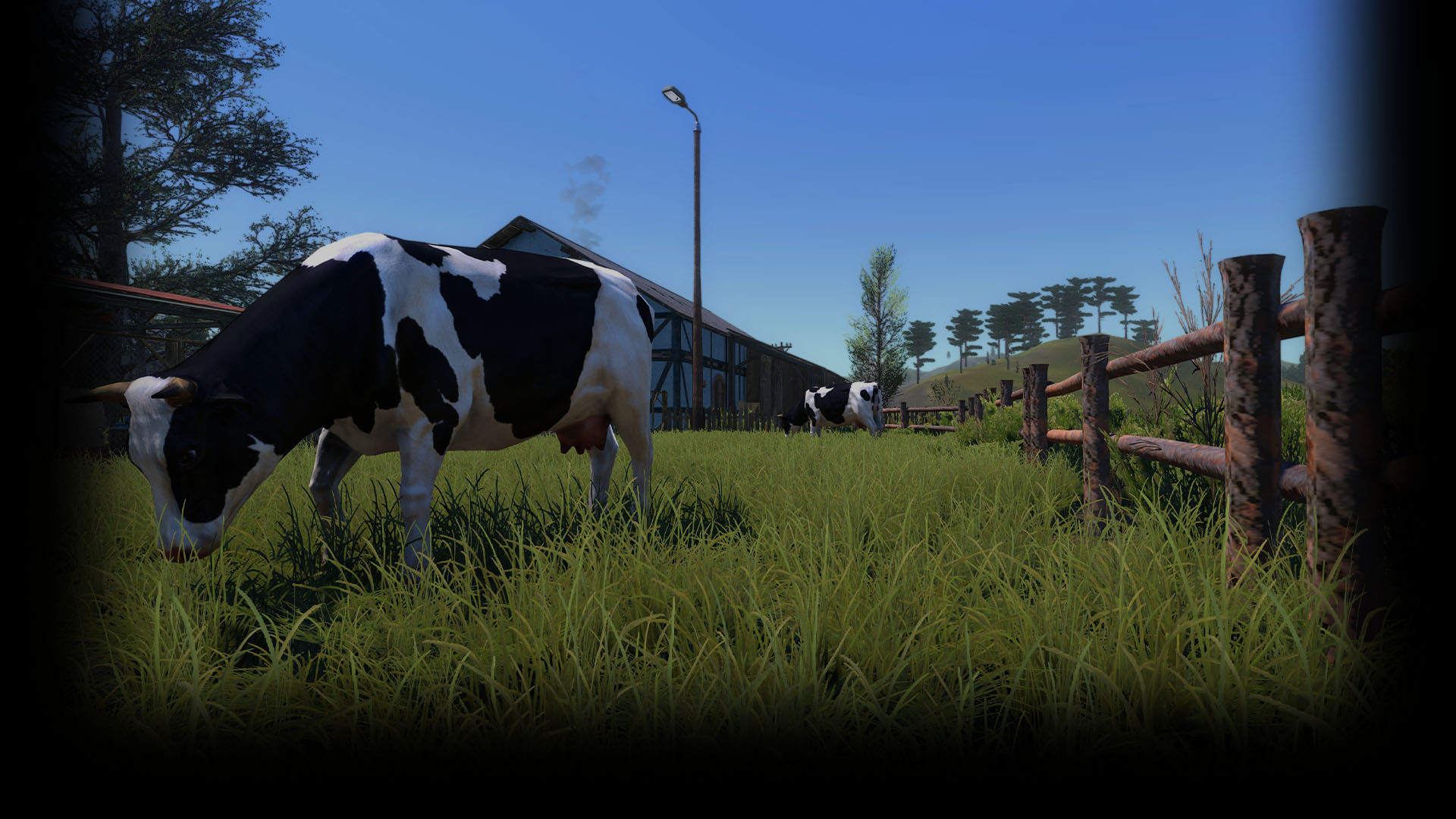 Moo