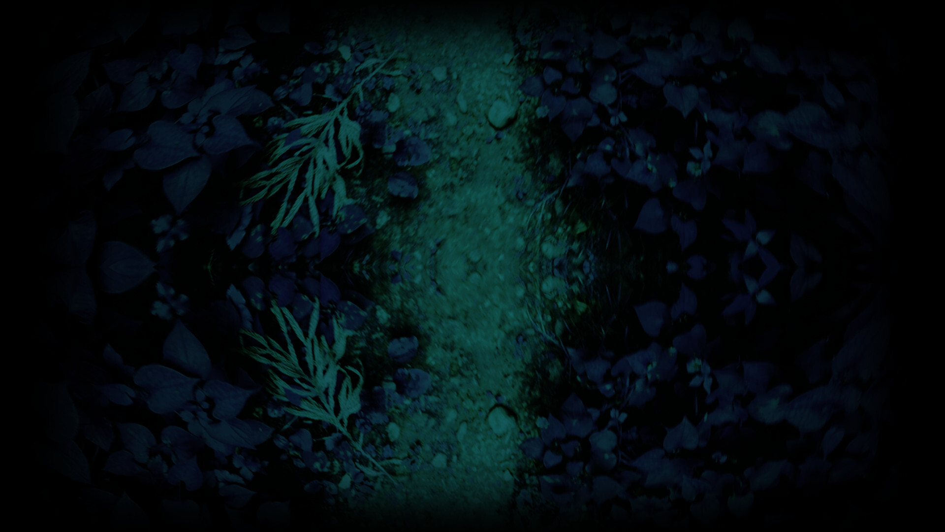 Dark Forest