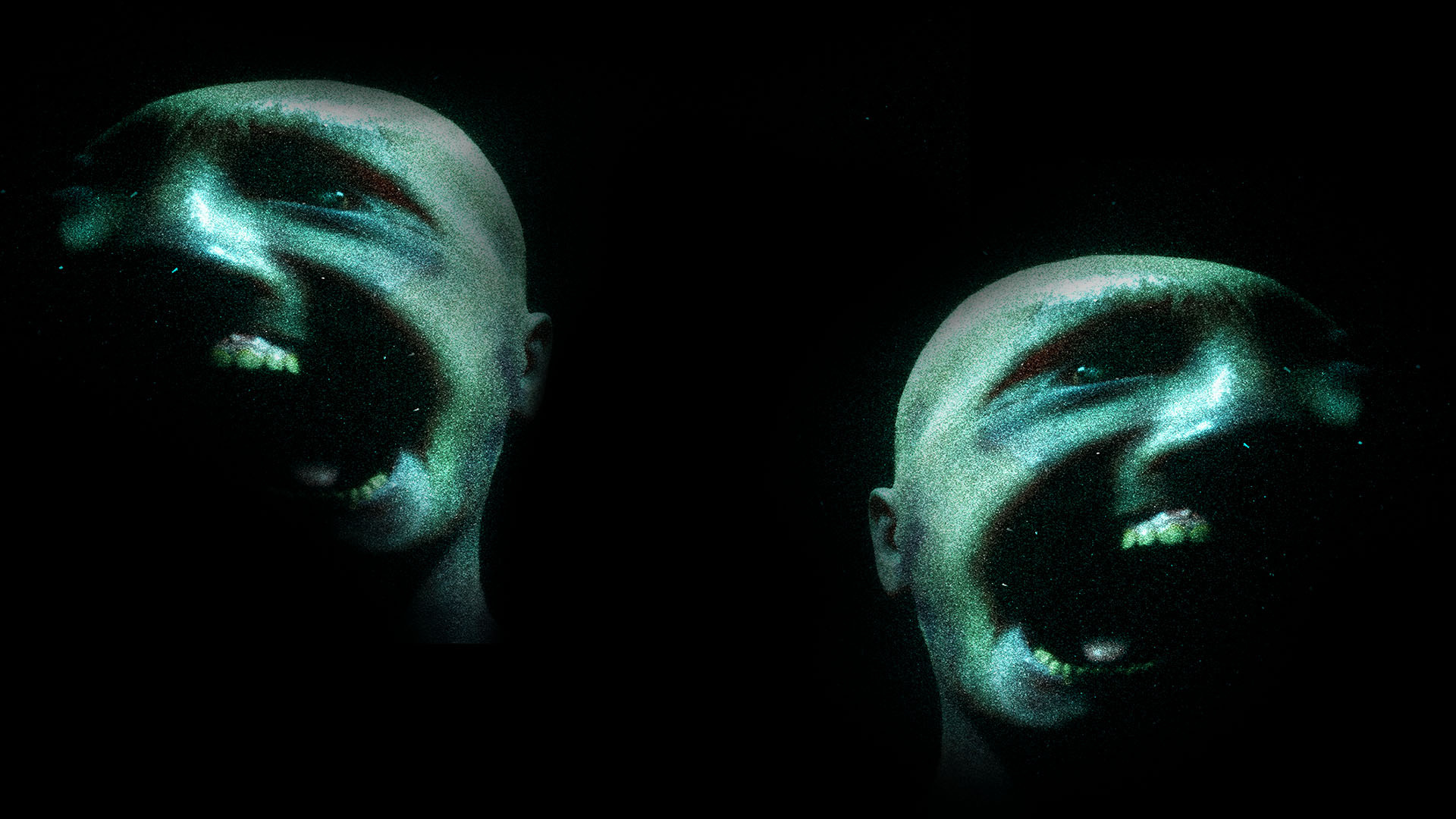 THE FLATHEADS