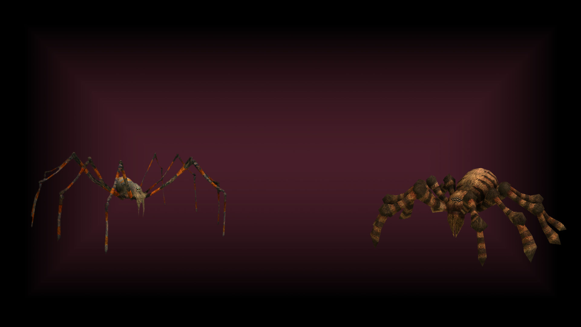 Spiders