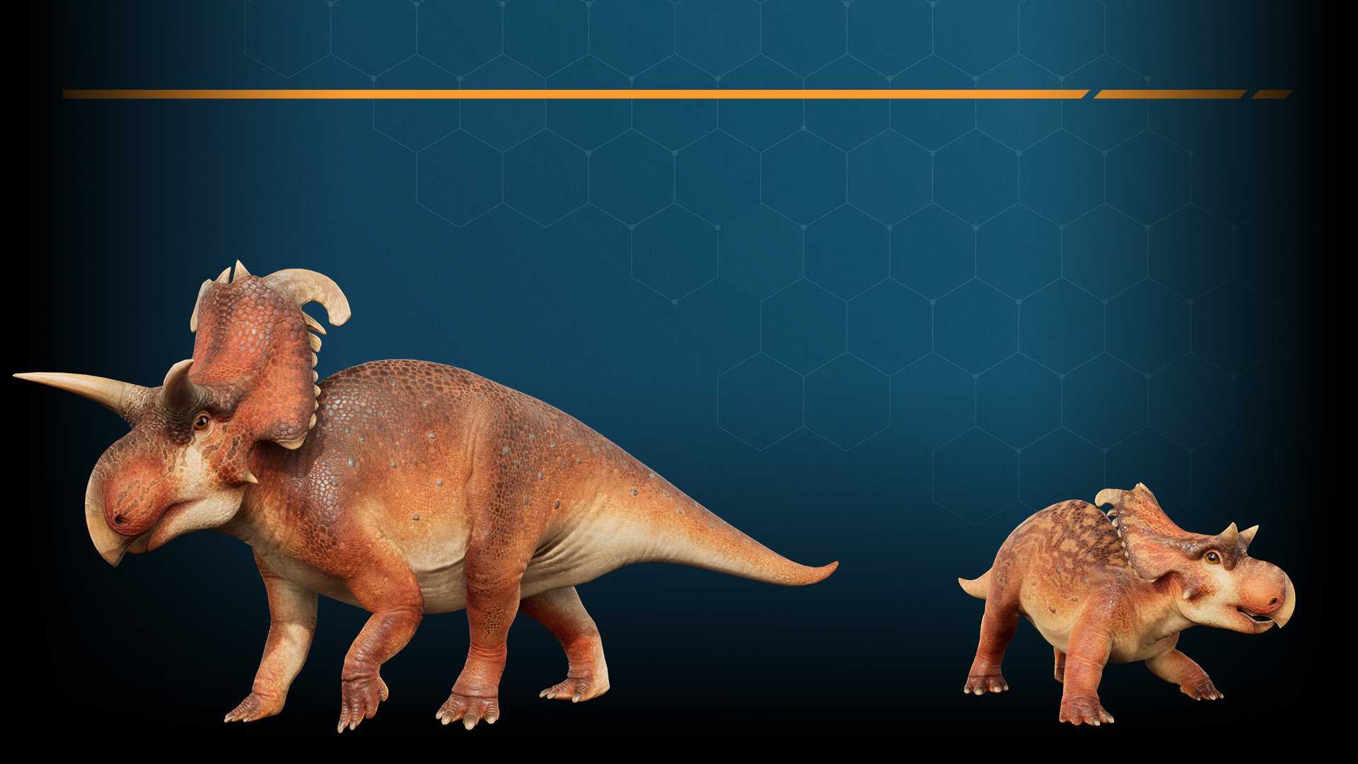 Lokiceratops DIN