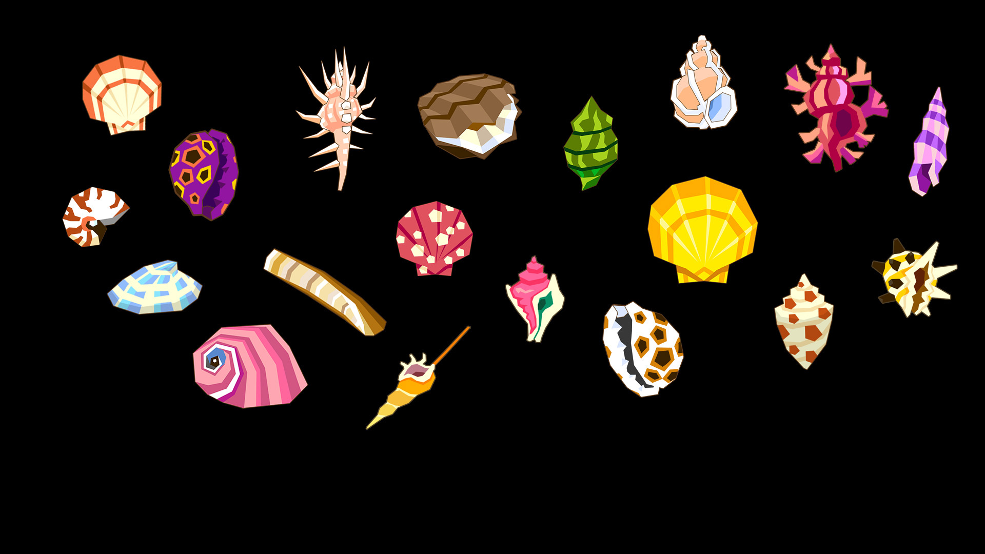Seashells