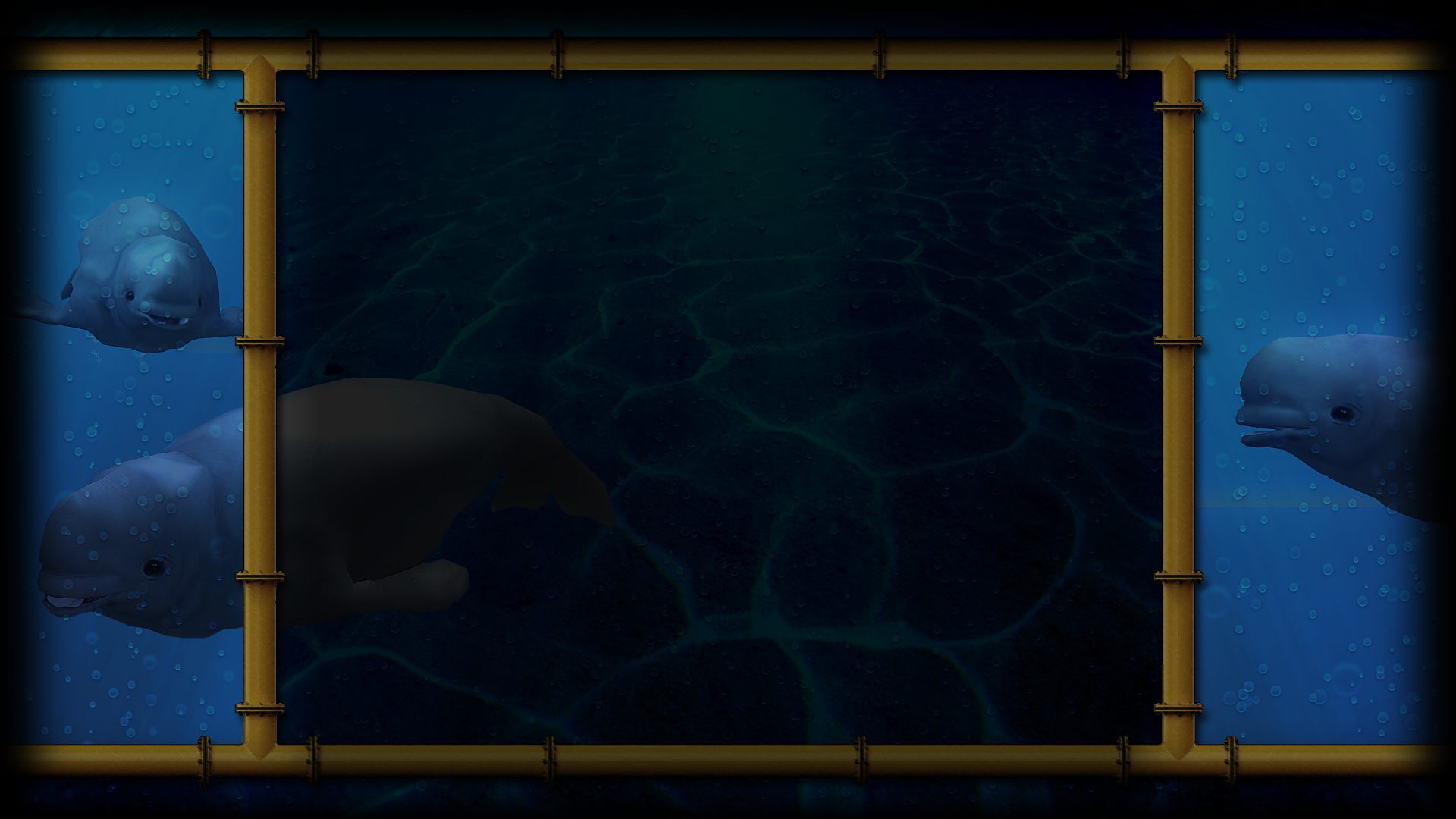 The Beluga