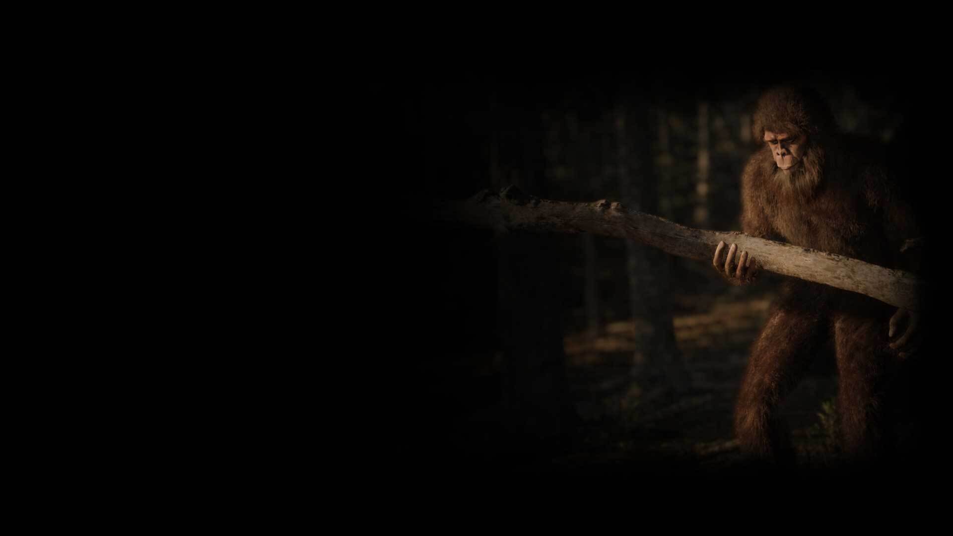 Strength in the Woods