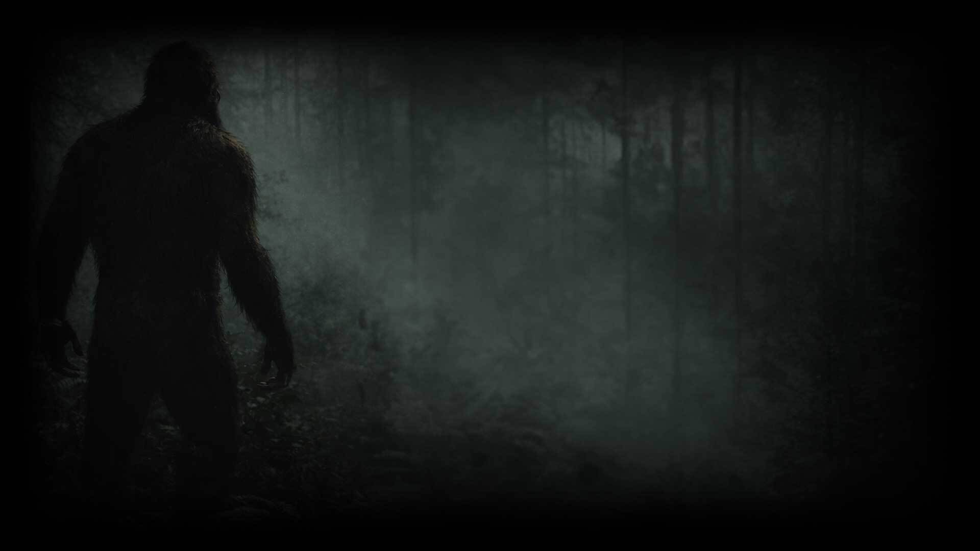 Into the Wild