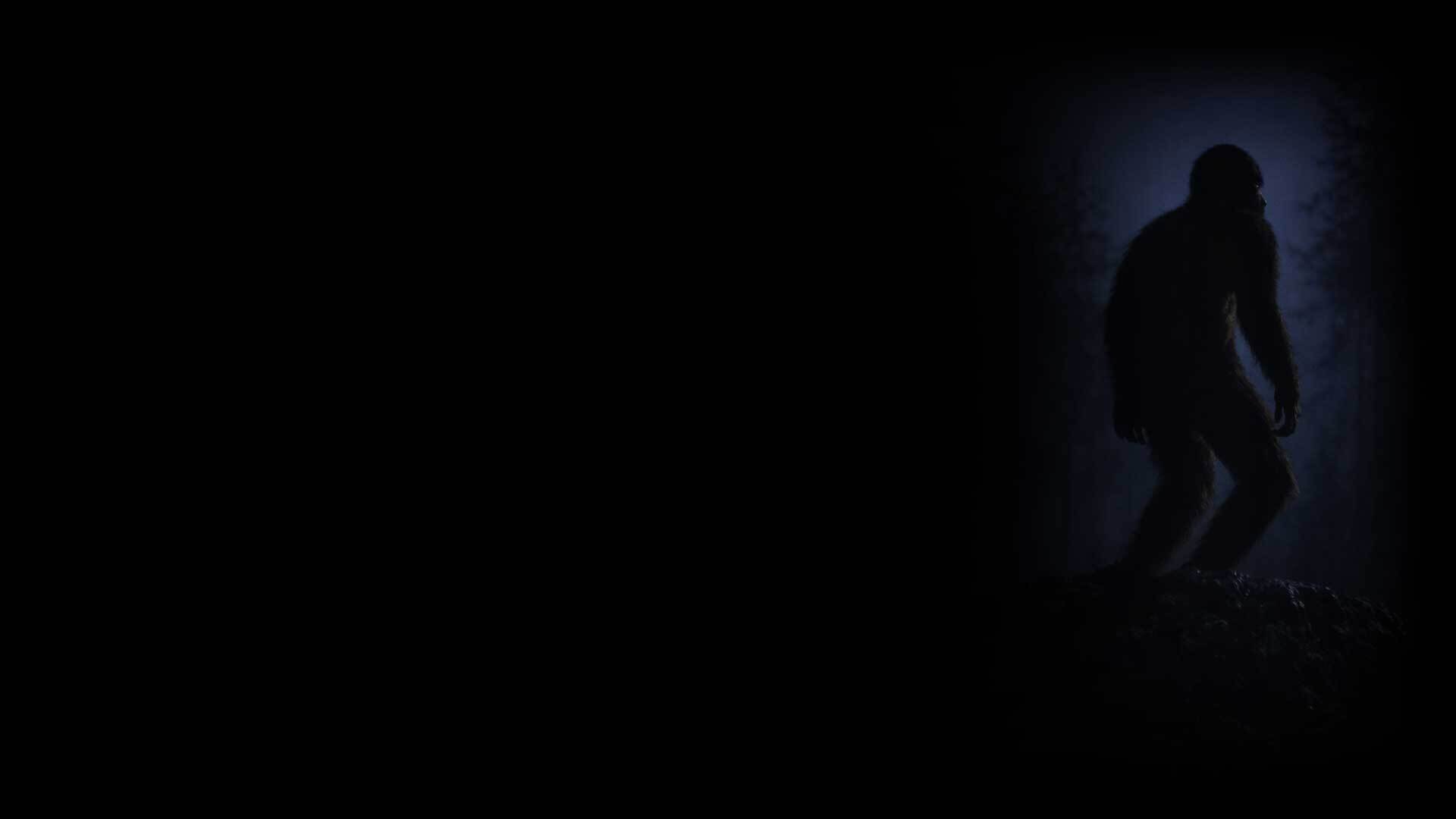 Moonlit Watcher