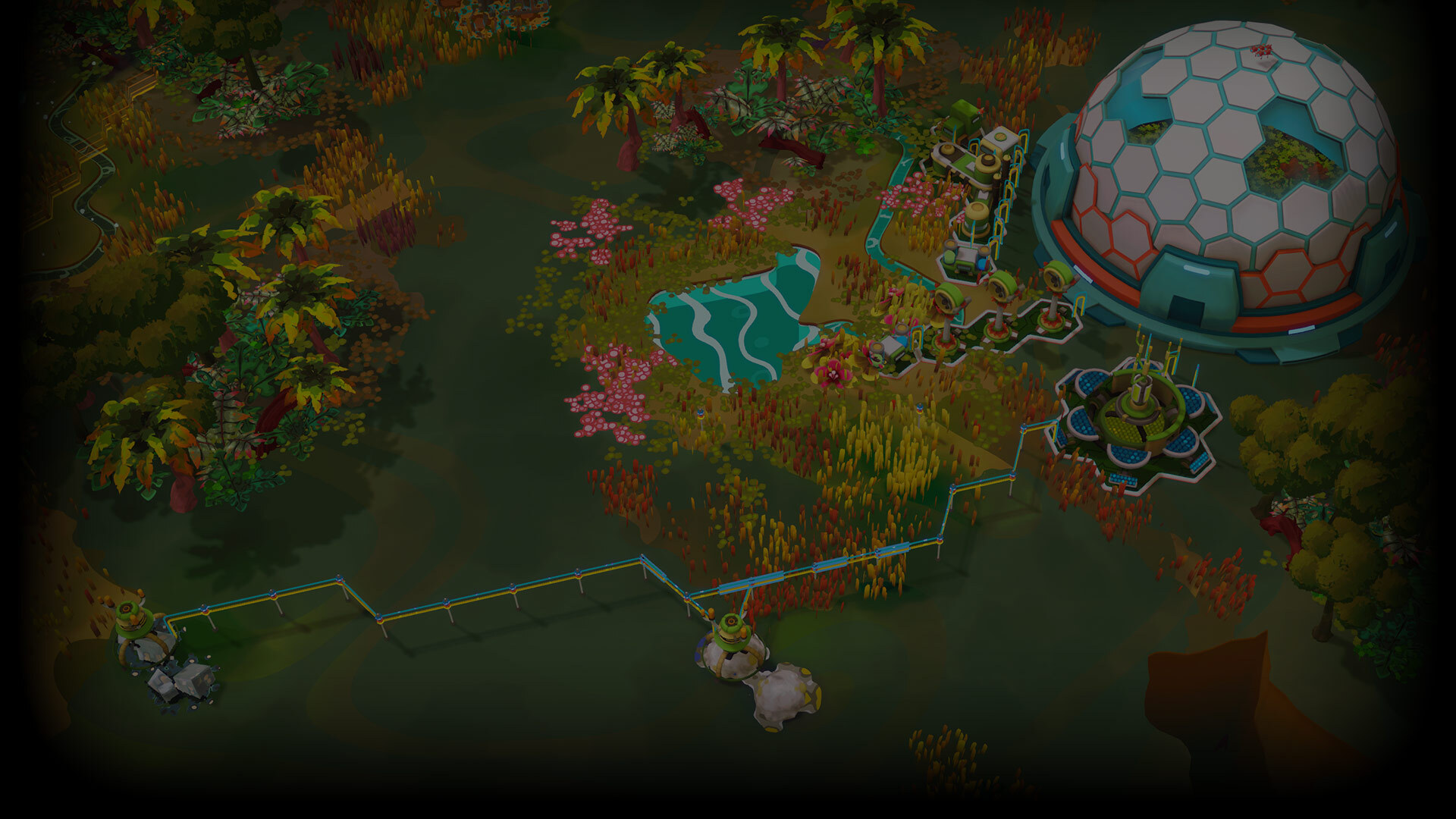 The Jungle Nook