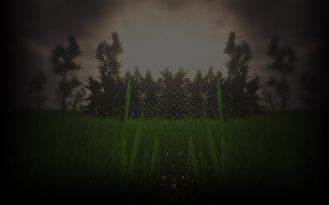 Grass Background