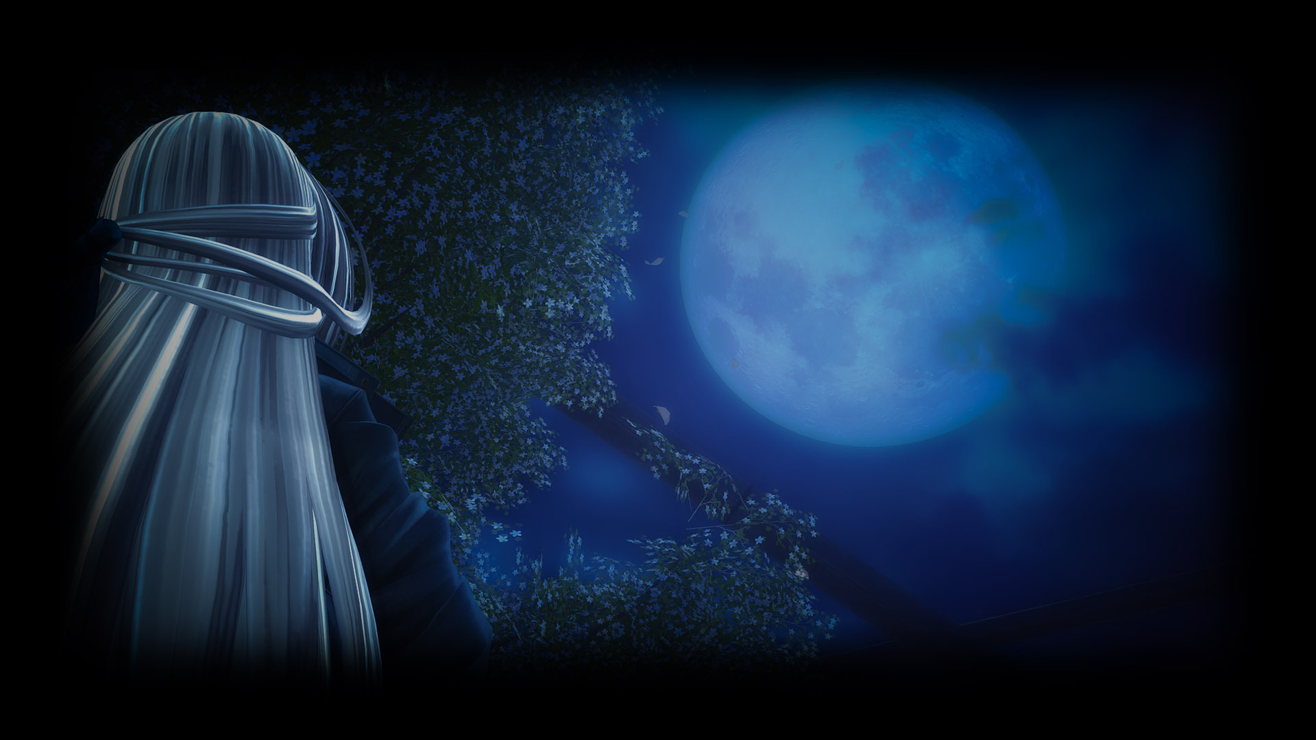 Silver Moon