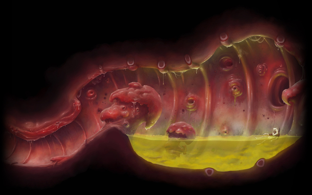 Inside Sos (Profile Background)