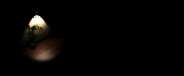 Light Dark House