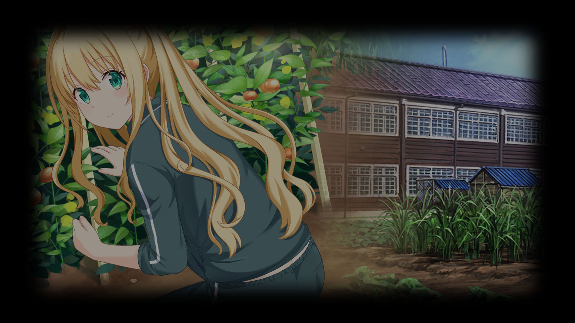 Umi-2