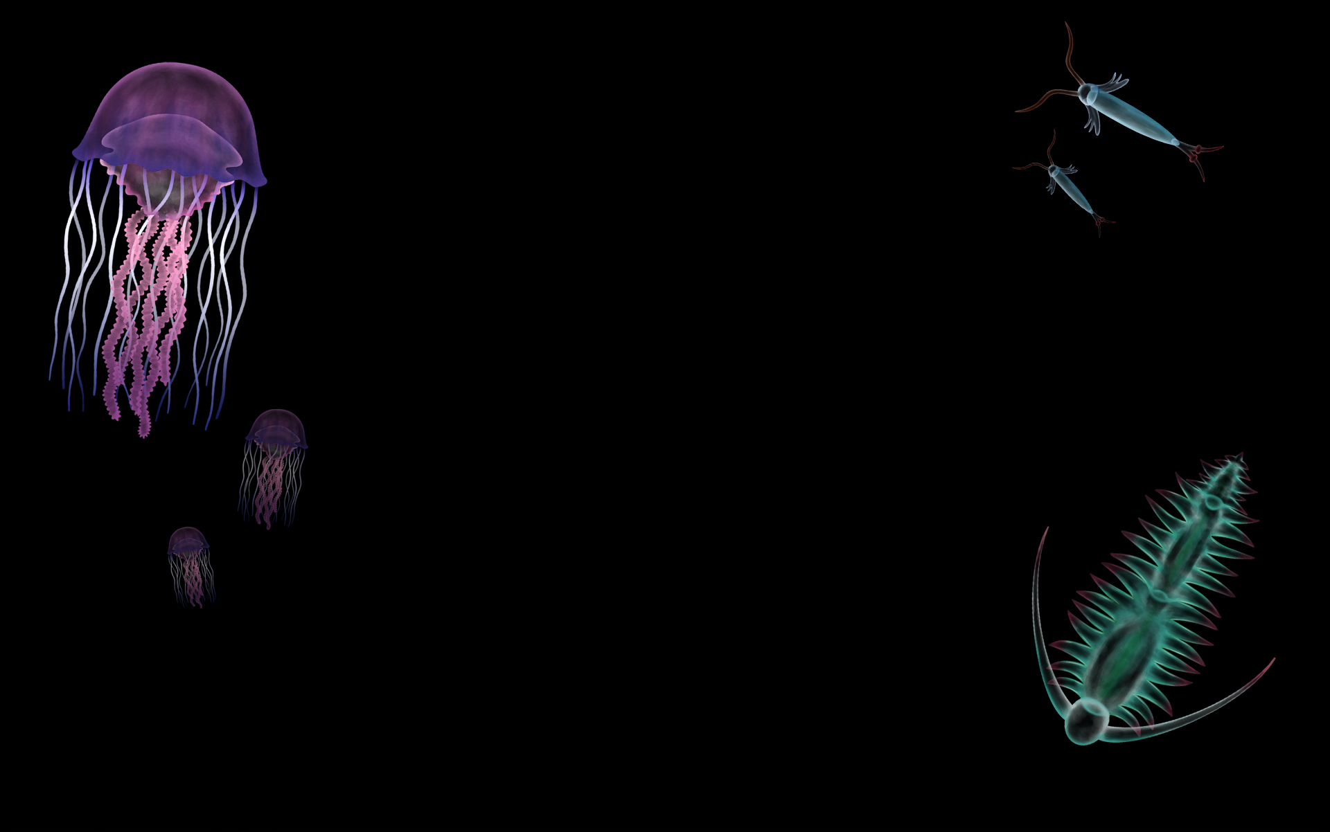 Bioluminescence